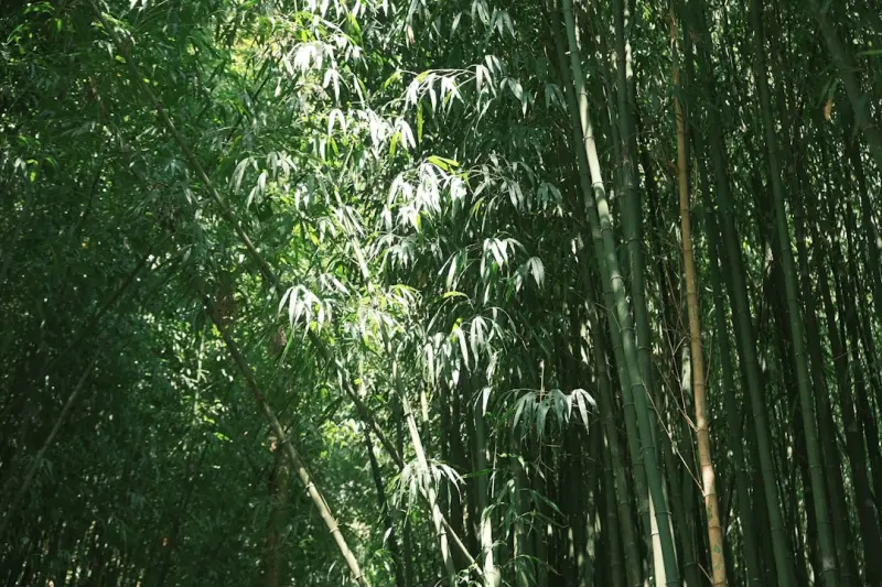 传感器选型指南：工业控制板设计中的关键参数与匹配原则