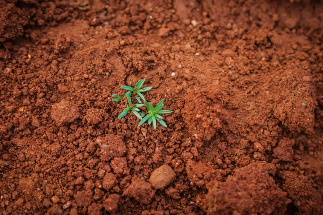 传感器与工业控制板选型指南：基于嵌入式模块的匹配方案