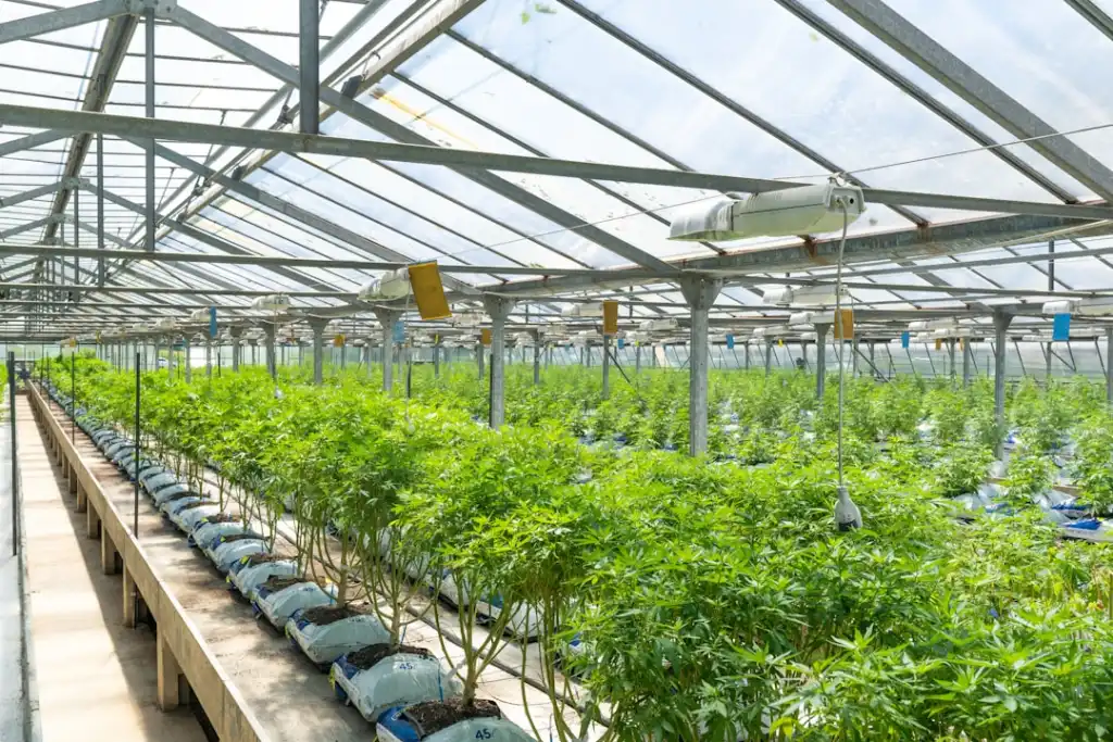 传感器与集成电路在自动化设备中的匹配方案与实例分析