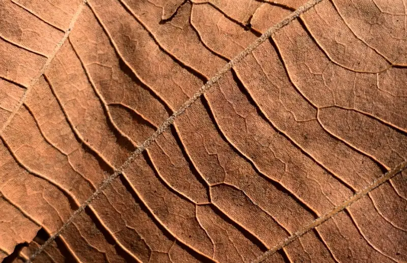 电子元器件选型指南：工业控制板与嵌入式模块性能对比分析